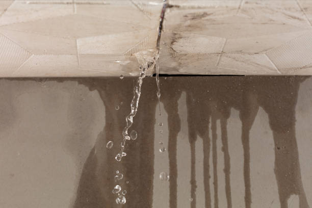 Professional Sewage Cleanup technician working in Leicester, NC
